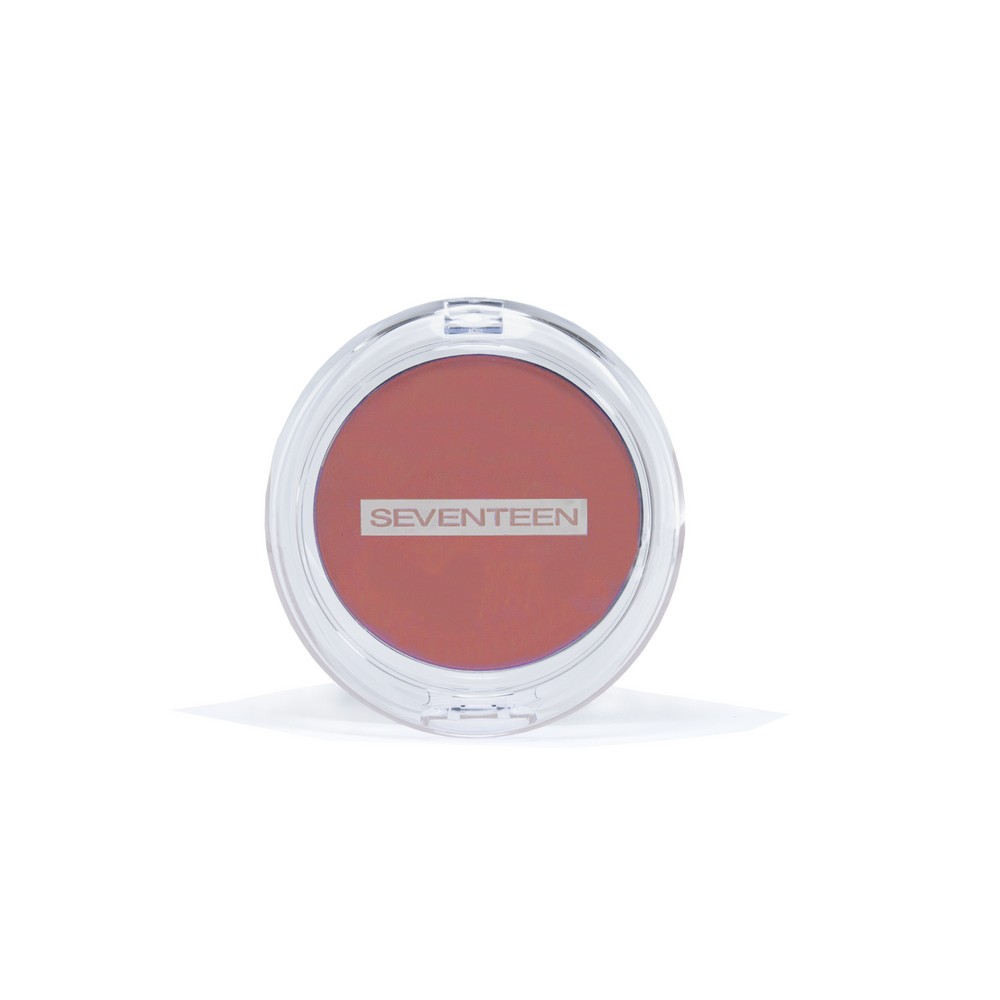 Seventeen Silky Blusher 19 Plum Rhubard
