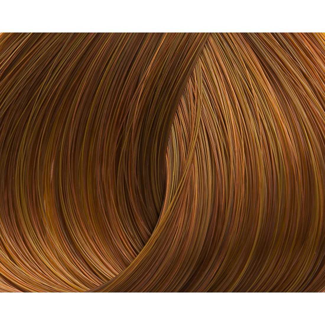 Lorvenn Beauty Color Επαγγελματική Βαφή Σωληνάριο 70ml No 8.34 Ξανθό Ανοιχτό Ντορέ Χάλκινο No 8.34 Ξανθό Ανοιχτό Ντορέ Χάλκινο