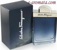 Salvatore Ferragamo Subtil Pour Homme Eau de Toilette 100ml