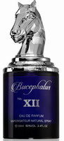 Armaf Bucephalus No. XII Eau de Parfum 100ml Armaf Bucephalus No. XII Eau de Parfum 100ml