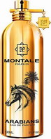 Montale Arabians Eau de Parfum 100ml (TESTER)
