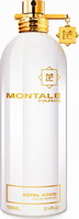 Montale Paris Nepal Aoud Eau de Parfum 100ml