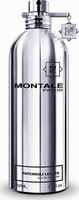 Montale Paris Patchouli Leaves Eau de Parfum 100ml