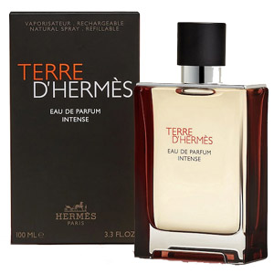 Hermes Terre D'Hermès Eau De Parfum Intense 100ml Hermes Terre D'Hermès Eau De Parfum Intense 100ml